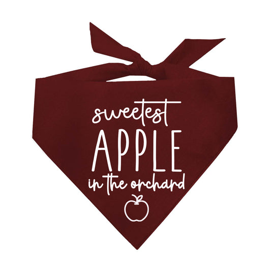 Sweetest Apple In The Orchard Fall Triangle Dog Bandana (Assorted Fall Colors)