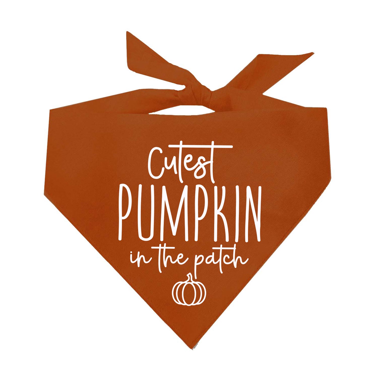 Cutest Pumpkin In The Patch Fall Triangle Dog Bandana (Assorted Fall Colors)