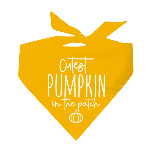Cutest Pumpkin In The Patch Fall Triangle Dog Bandana (Assorted Fall Colors)
