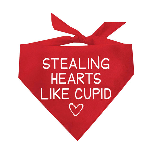 Stealing Hearts Like Cupid Valentine's Day Triangle Dog Bandana