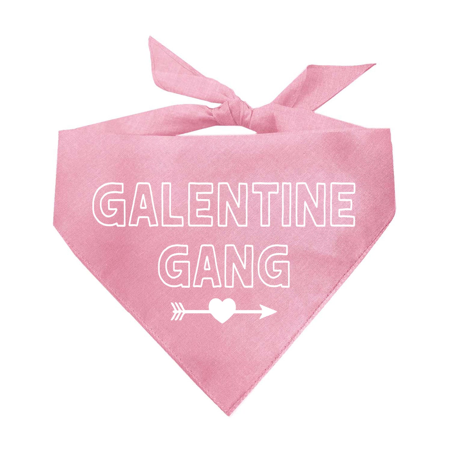 Galentine Gang Valentine's Day Triangle Dog Bandana