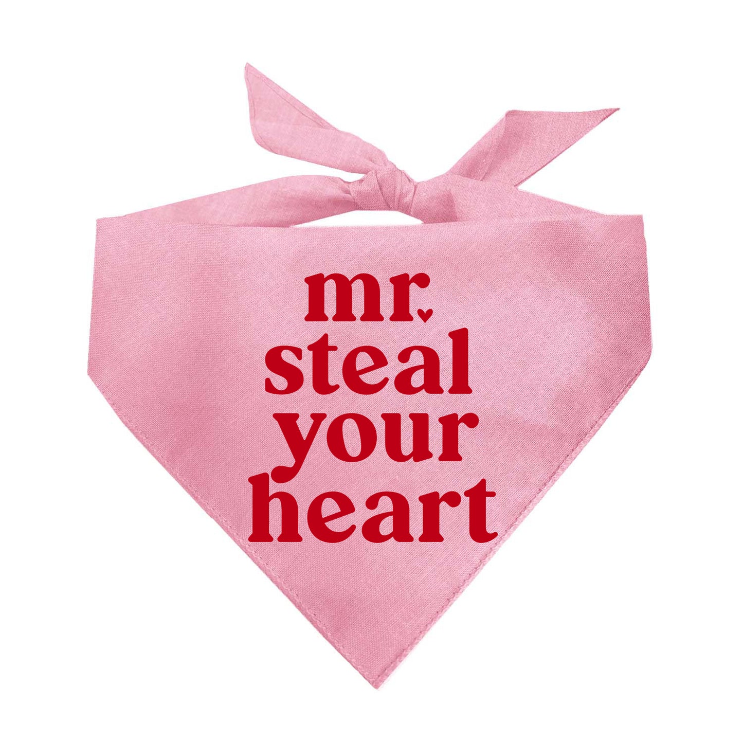 Mr. Steal Your Heart Valentine's Day Triangle Dog Bandana