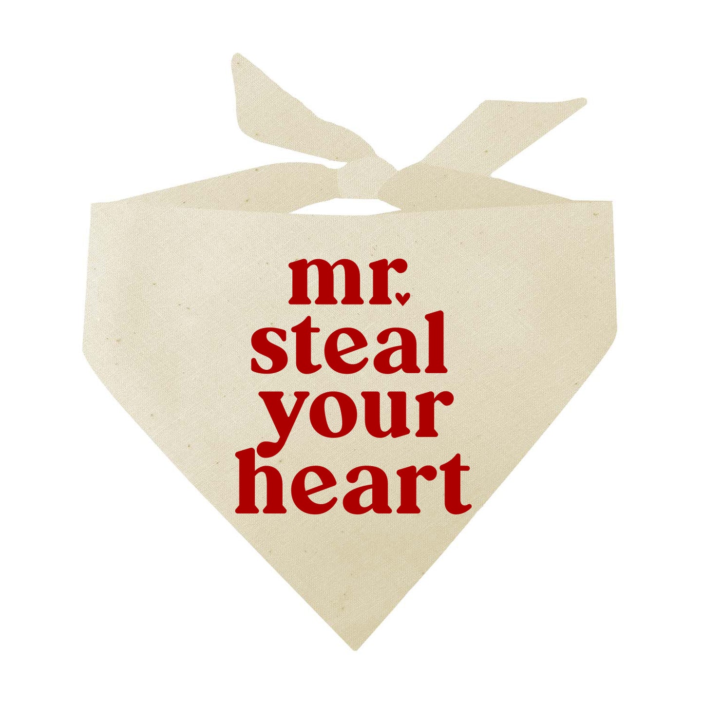 Mr. Steal Your Heart Valentine's Day Triangle Dog Bandana