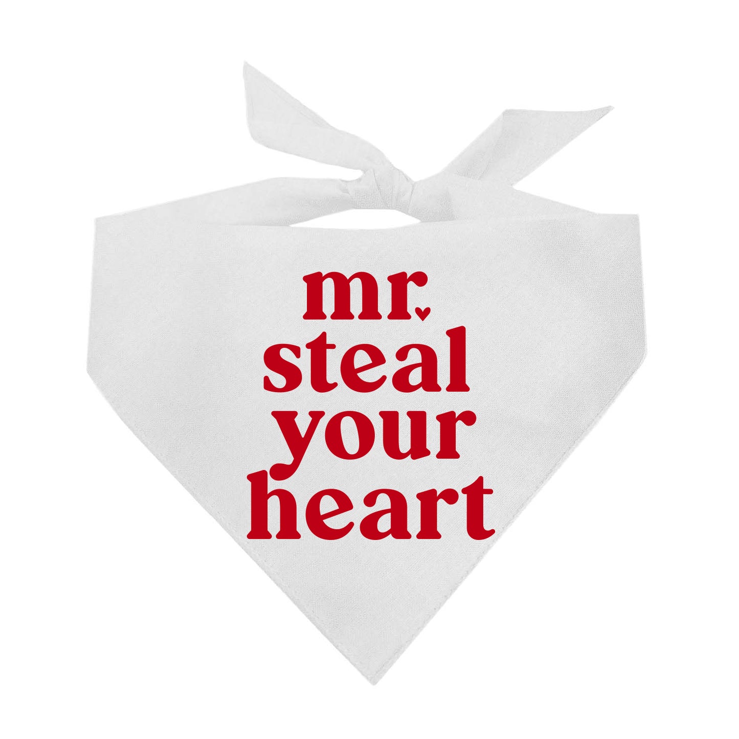 Mr. Steal Your Heart Valentine's Day Triangle Dog Bandana