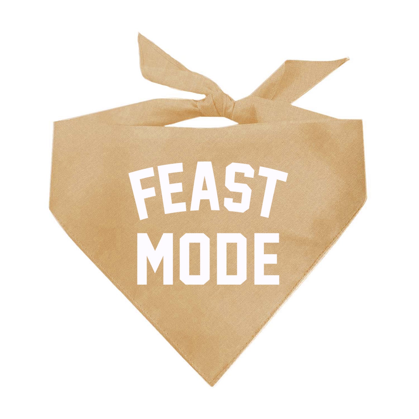 Feast Mode Triangle Dog Bandana (Assorted Fall Colors)