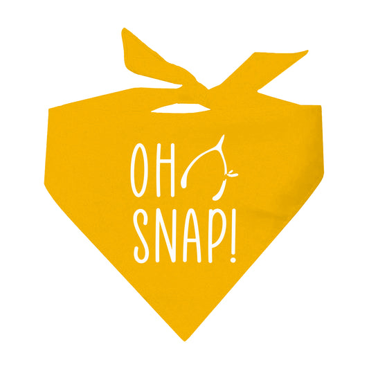 Oh Snap Triangle Dog Bandana (Assorted Fall Colors)