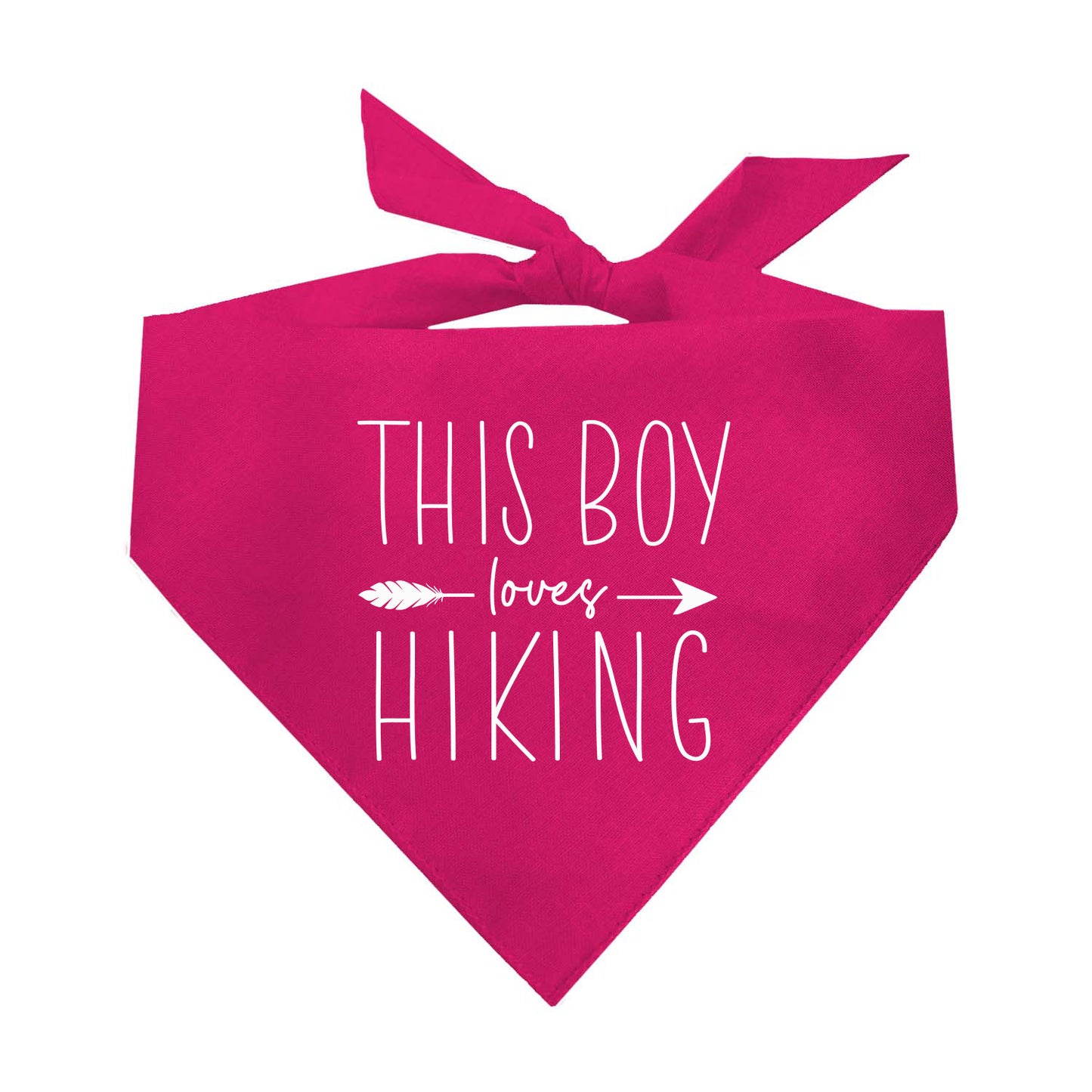 This Boy Loves Hiking Triangle Dog Bandana (Assorted Colors)