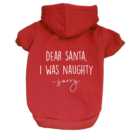 Dear Santa I Was Naughty Dog Hoodie
