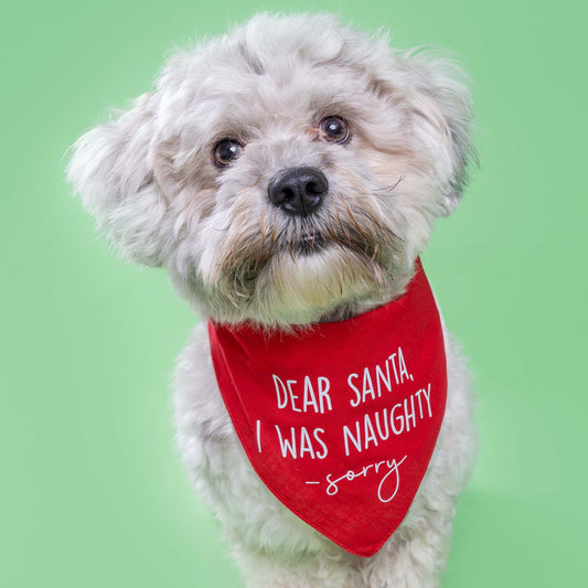 Dear Santa, I Was Naughty Funny Christmas Dog Bandana