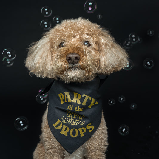 Party Til The Ball Drops New Years Eve Party Triangle Dog Bandana