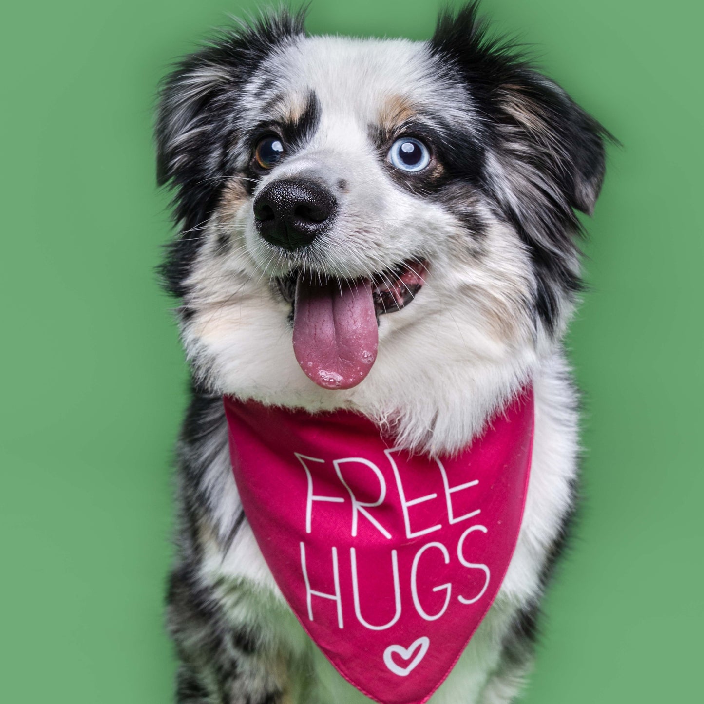 Free Hugs Triangle Dog Bandana