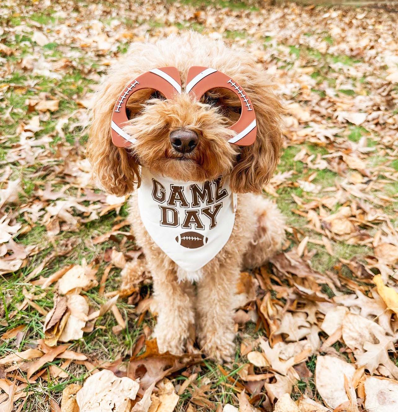 Game Day Football Season Triangle Dog Bandana