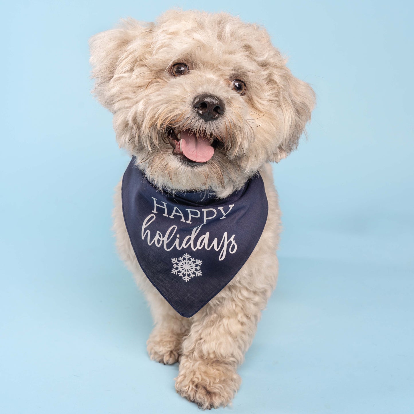 Happy Holidays Triangle Dog Bandana