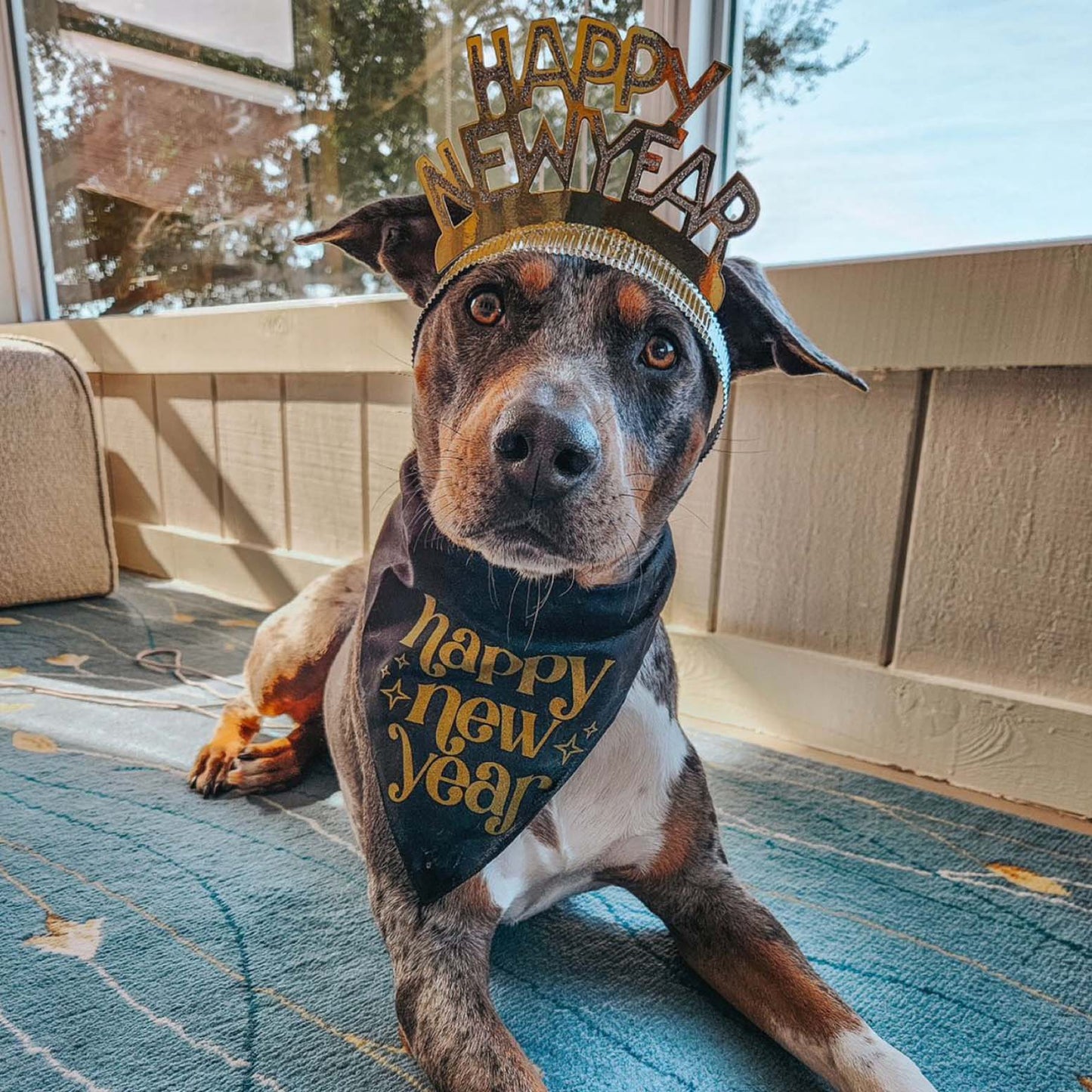 Happy New Year Sparkle Triangle Dog Bandana