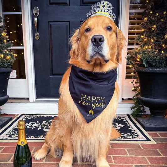 Happy New Year With Champagne Flutes Triangle Dog Bandana