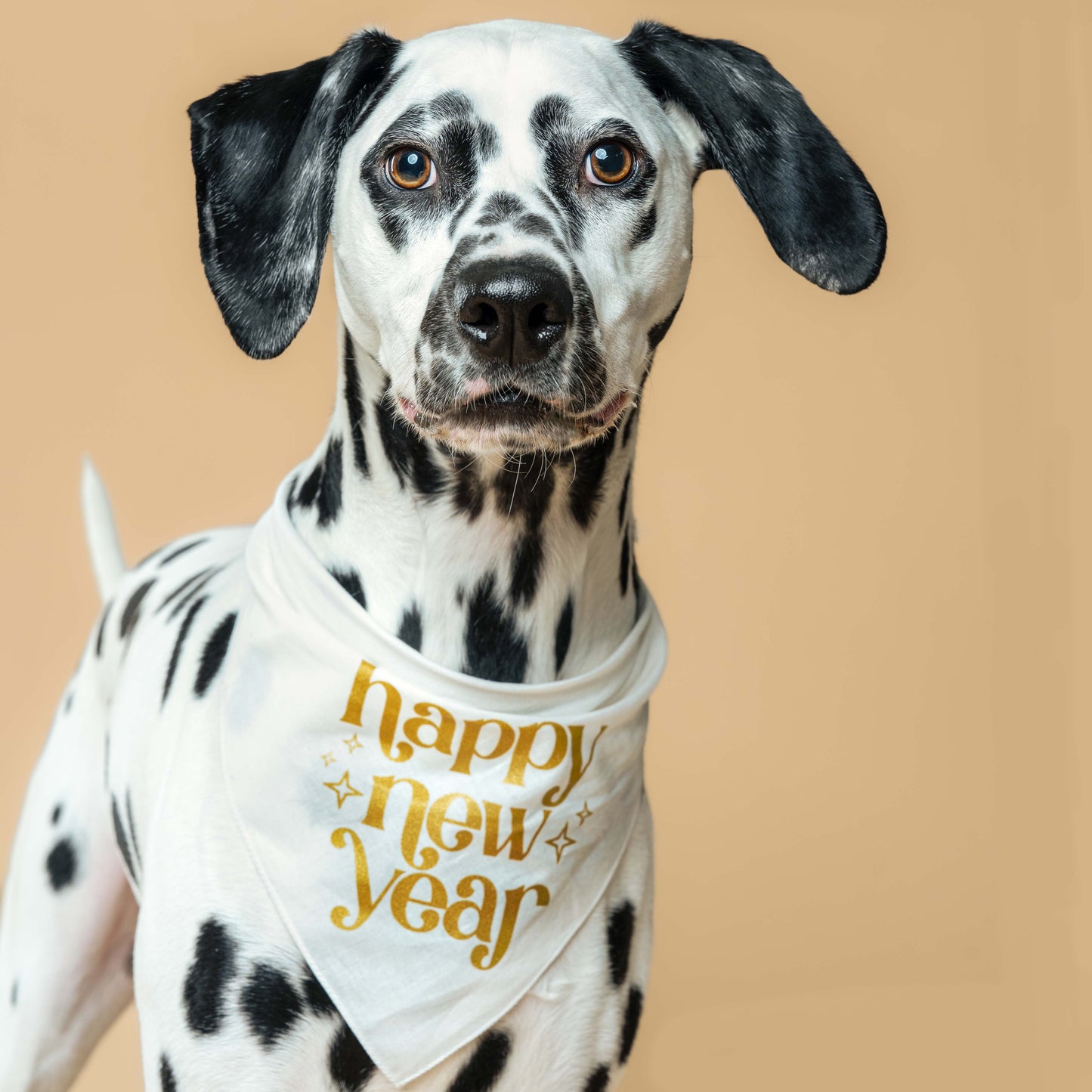 Happy New Year Sparkle Triangle Dog Bandana