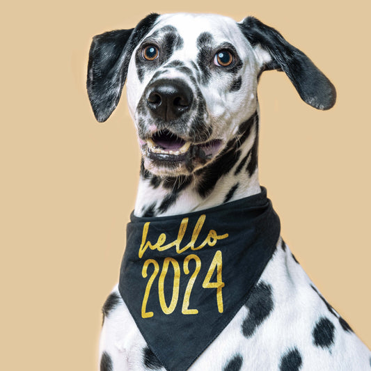 Hello 2024 Happy New Year Triangle Dog Bandana