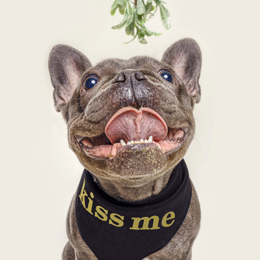 Kiss Me (Gold) New Years Eve Triangle Dog Bandana