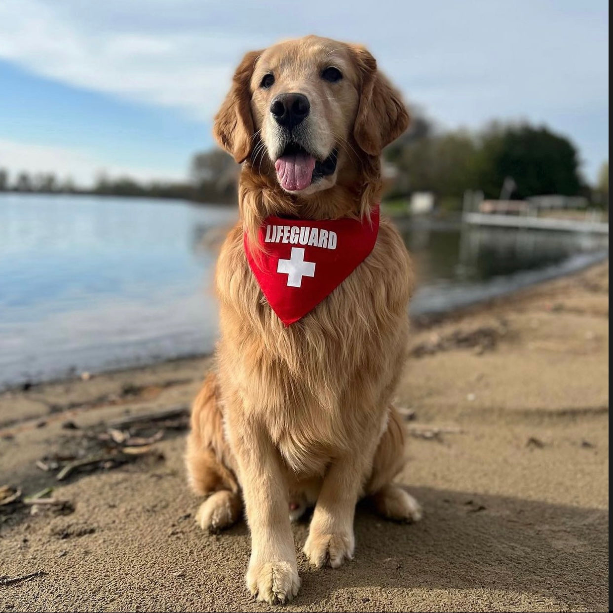 Lifeguard Triangle Dog Bandana