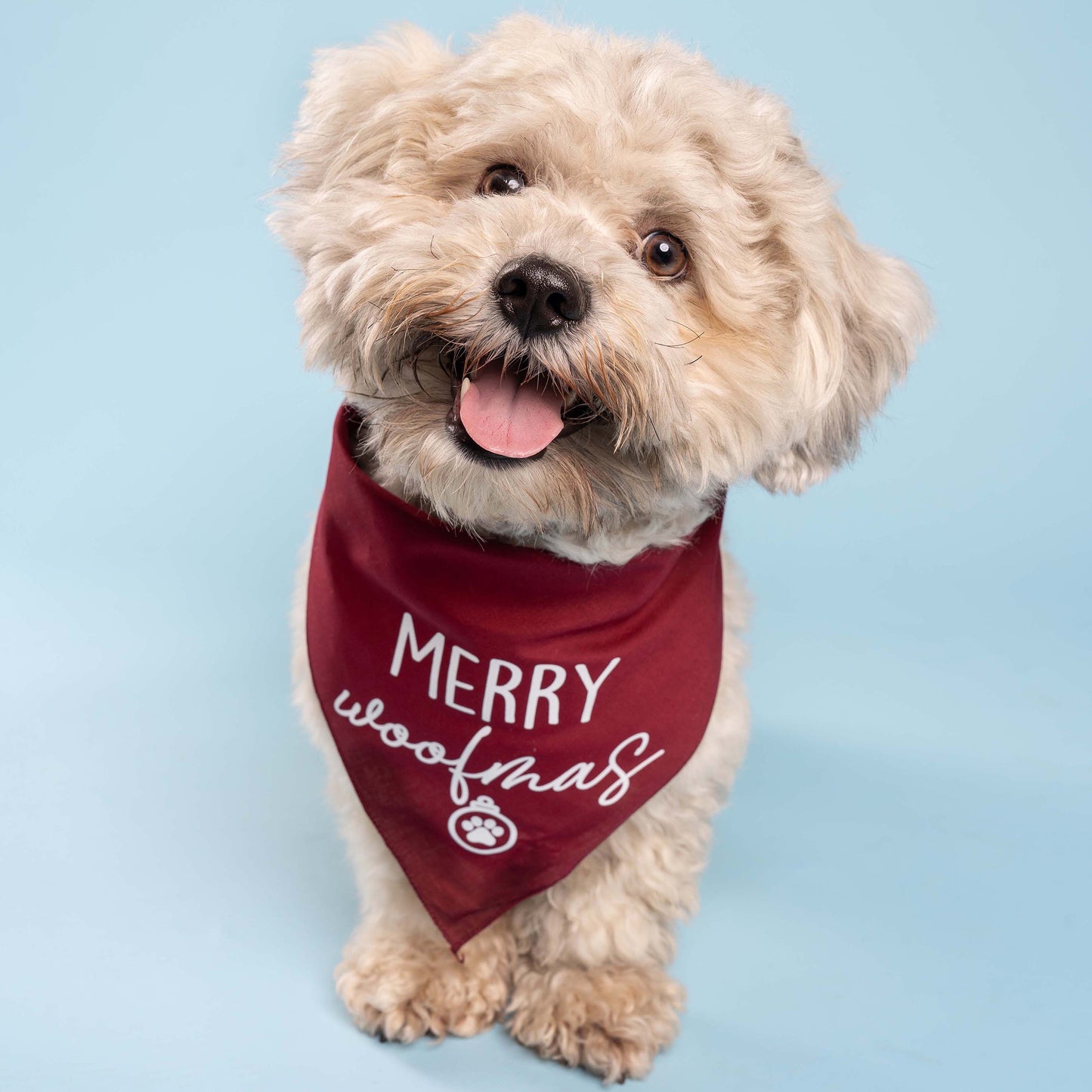 Merry Woofmas Christmas Triangle Dog Bandana