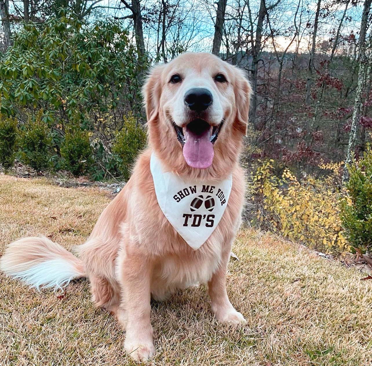 Show Me Your TD's Triangle Dog Bandana