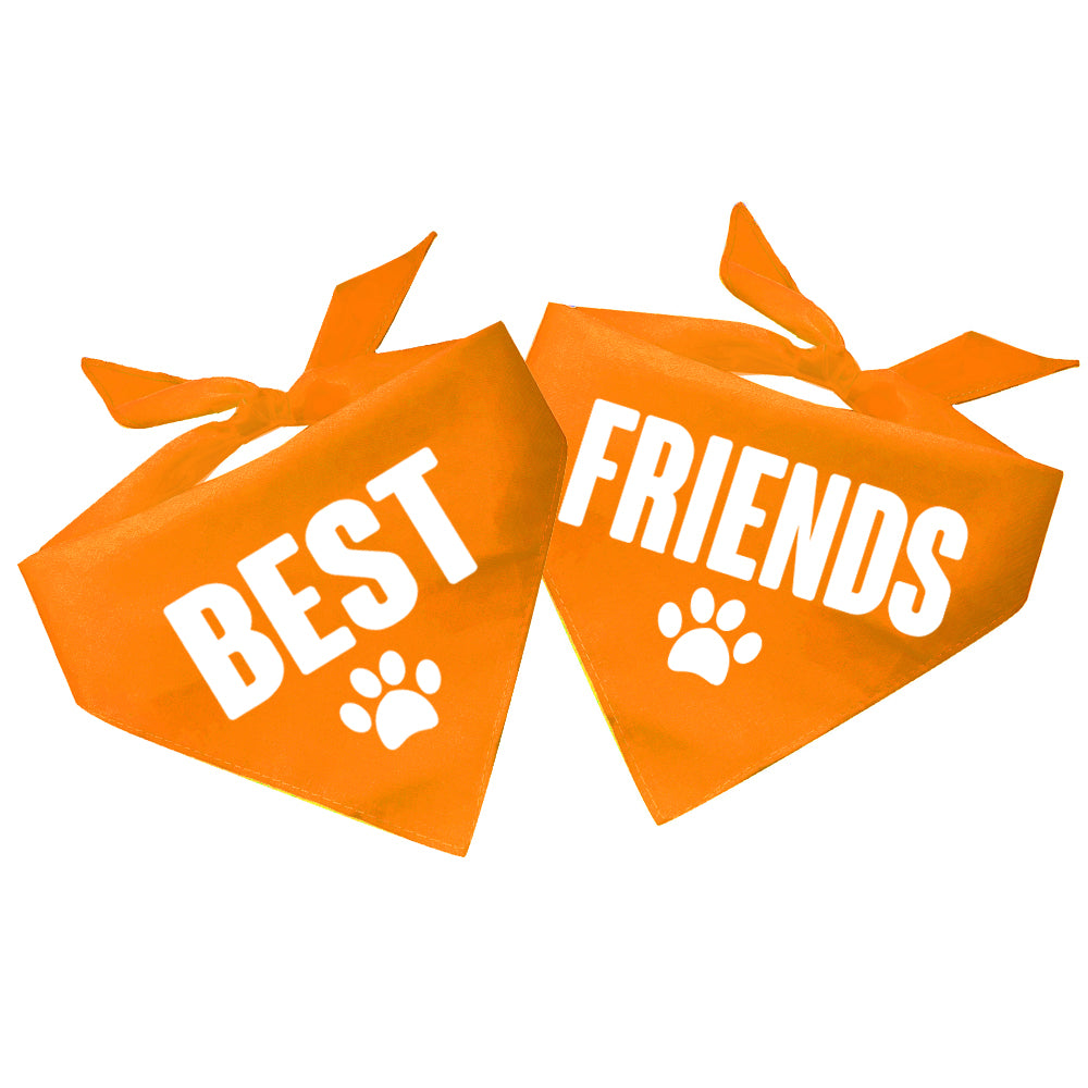 Friends best sale dog bandana