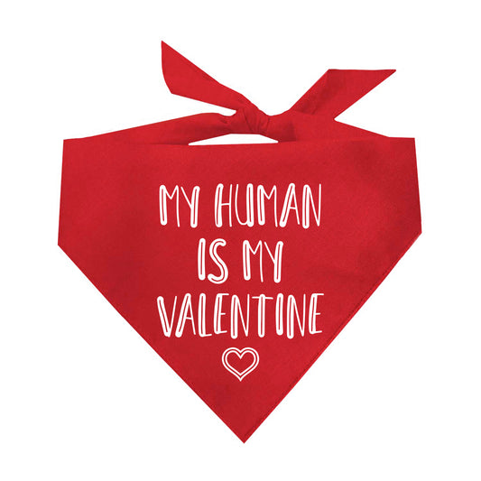 My Human Is My Valentine Valentine's Day Triangle Dog Bandana