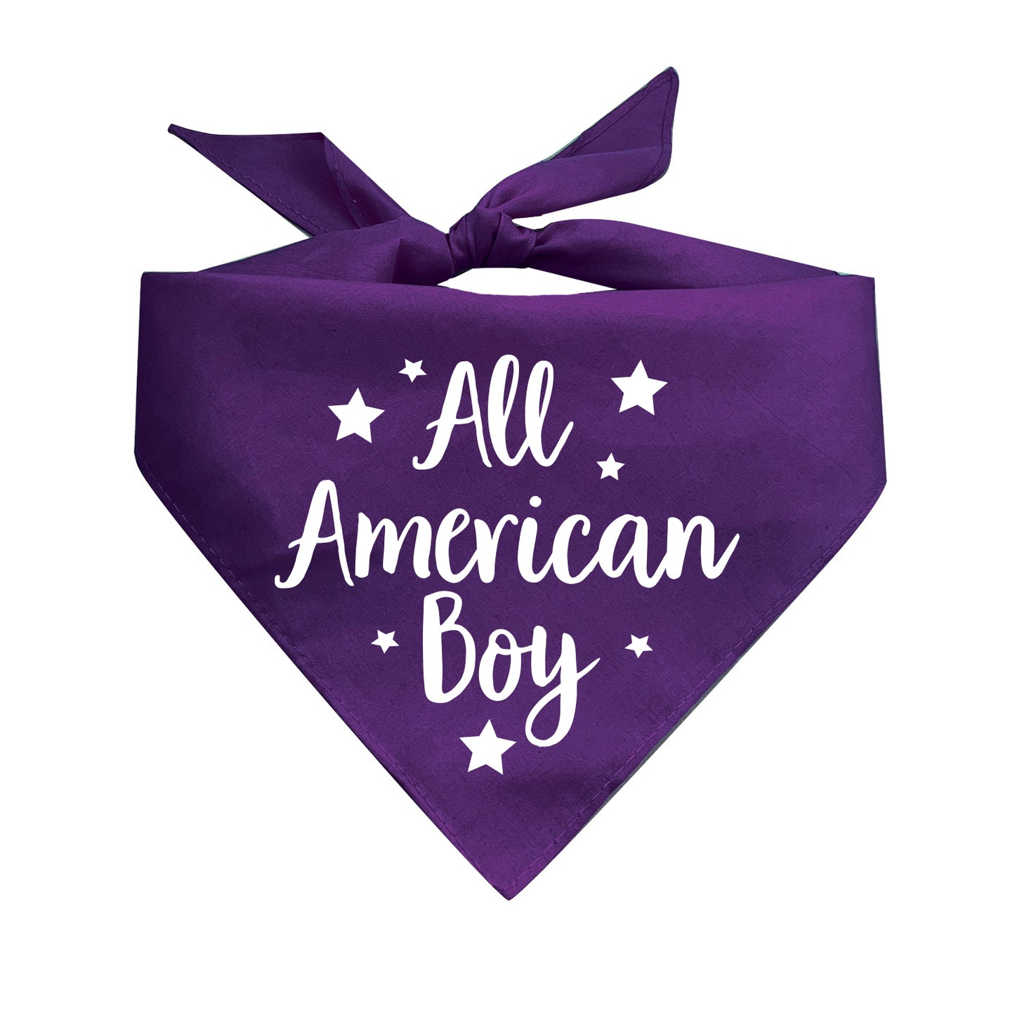 All American Boy Triangle Dog Bandana