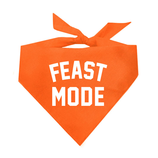 Feast Mode Triangle Dog Bandana