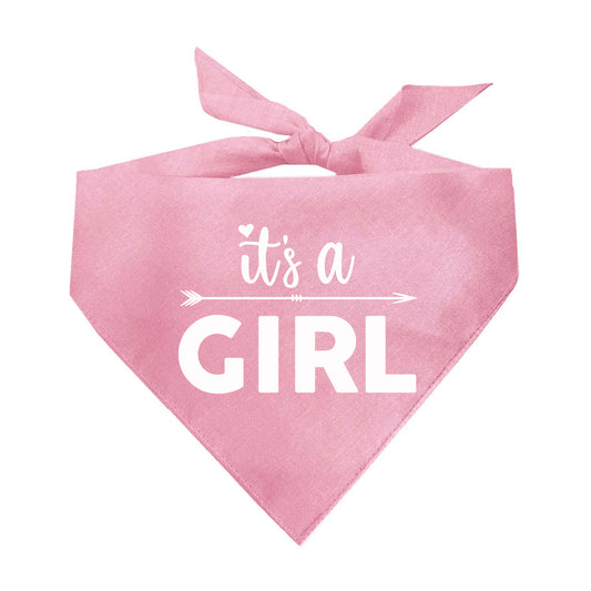 It's A Girl Gender Reveal Arrow Triangle Dog Bandana (Matching)