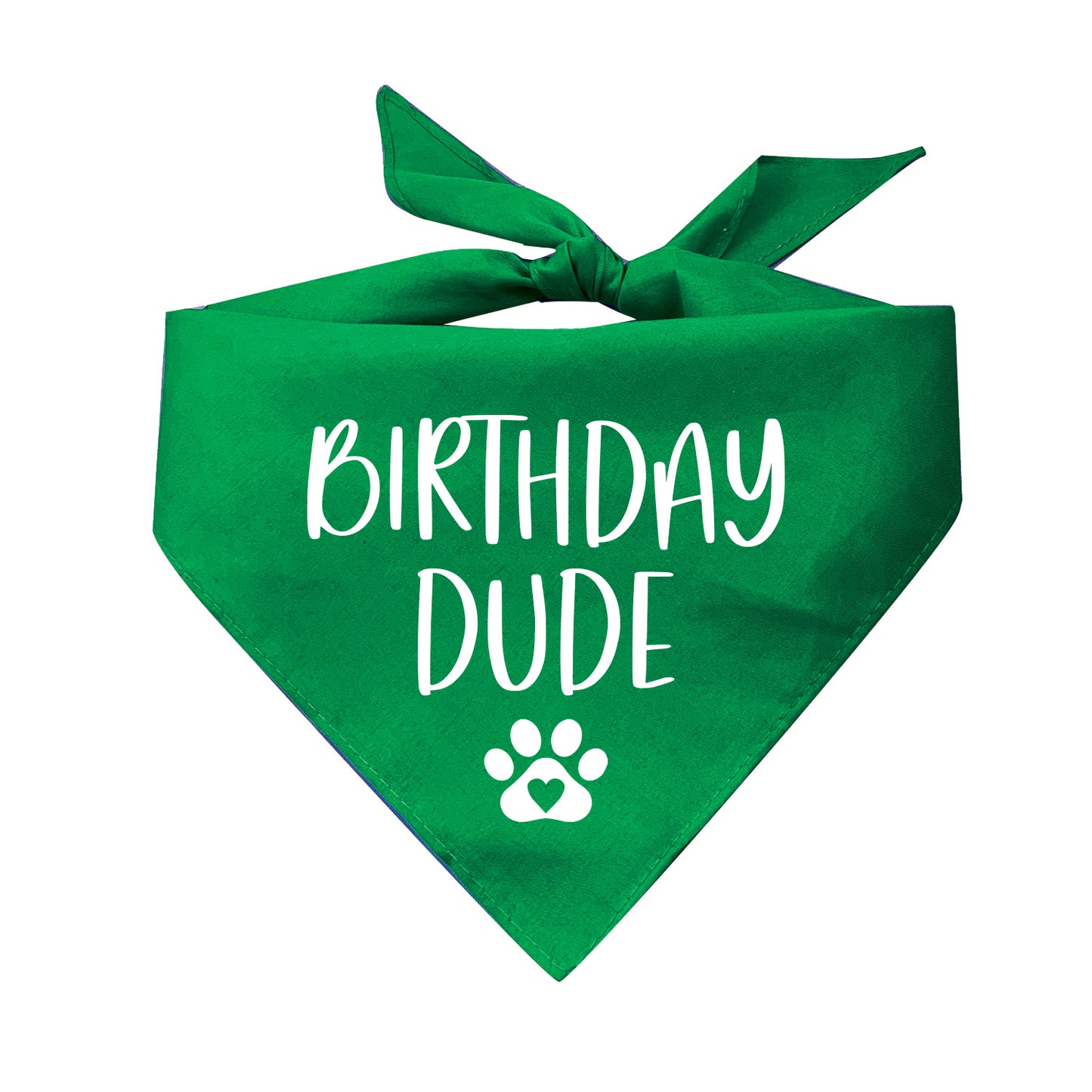 Birthday Dude Triangle Dog Bandana