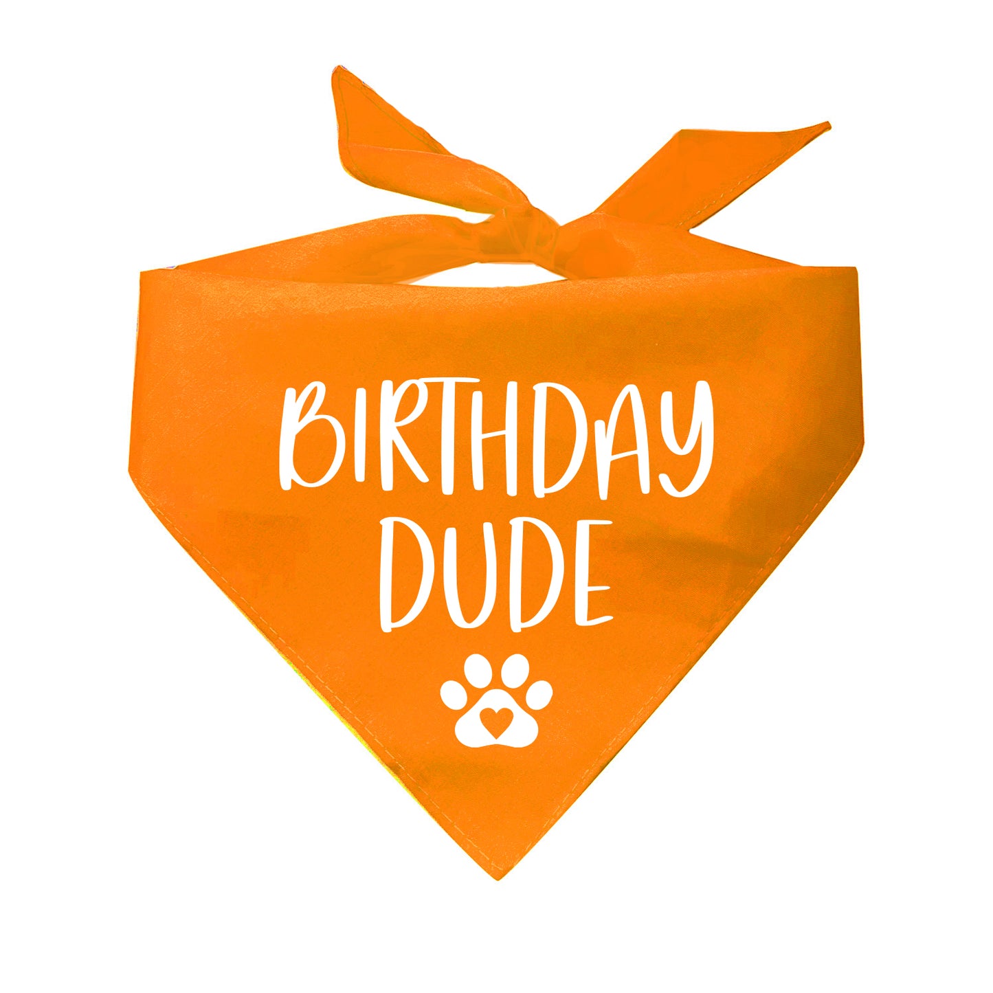 Birthday Dude Triangle Dog Bandana