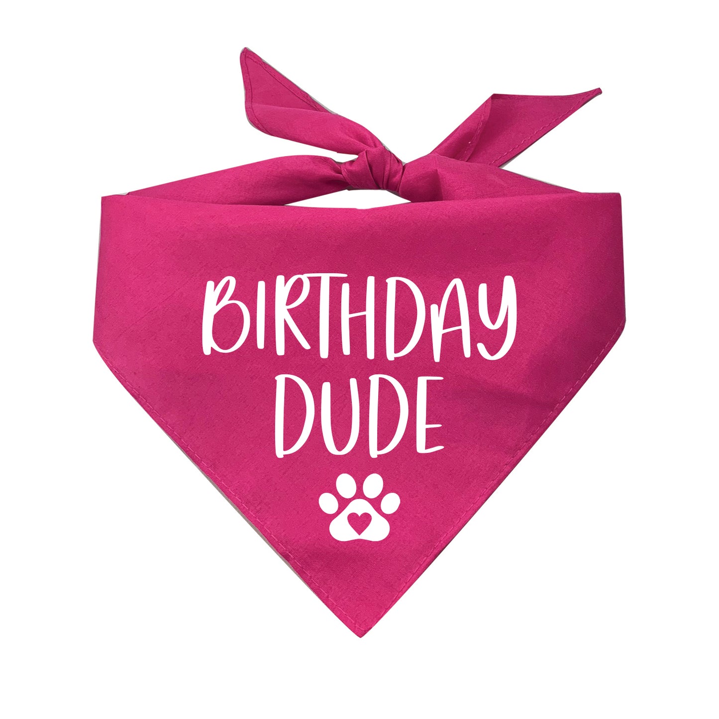 Birthday Dude Triangle Dog Bandana