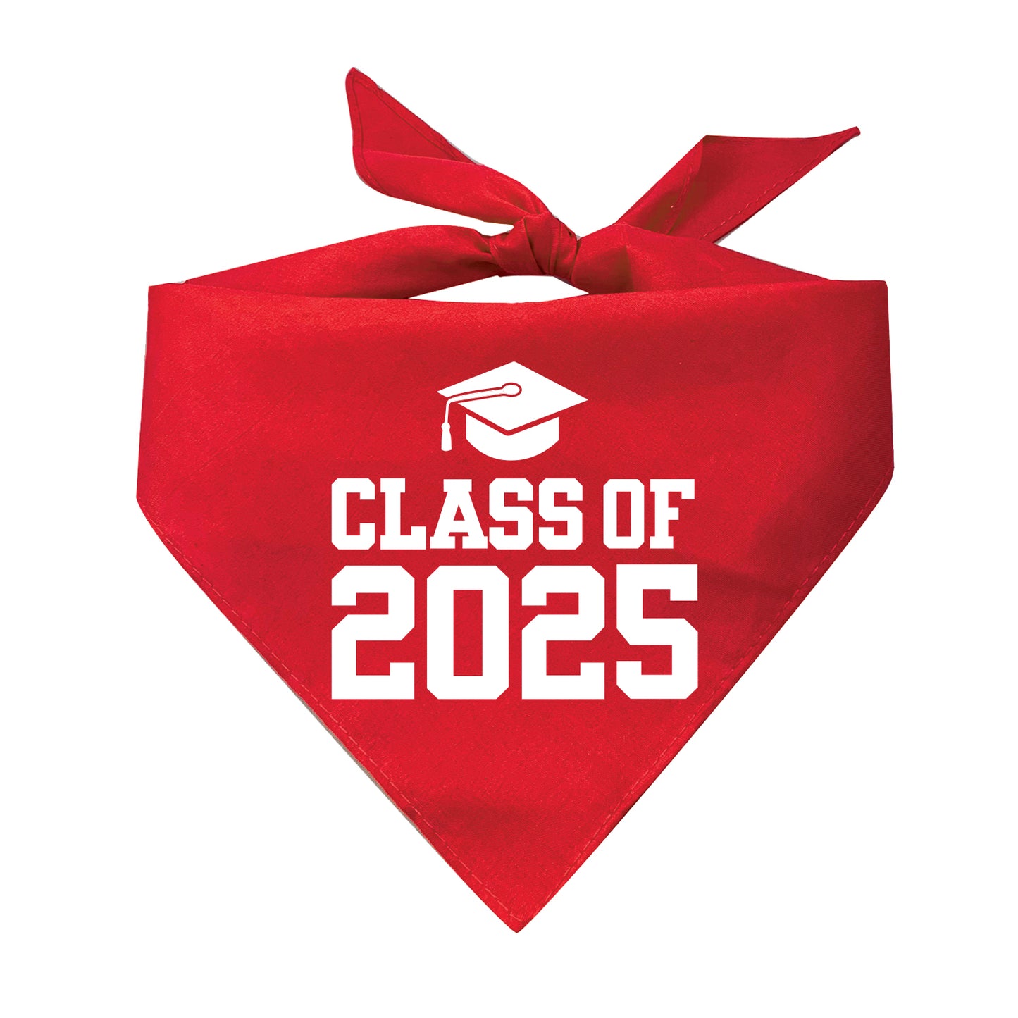 Class of 2025 Triangle Dog Bandana