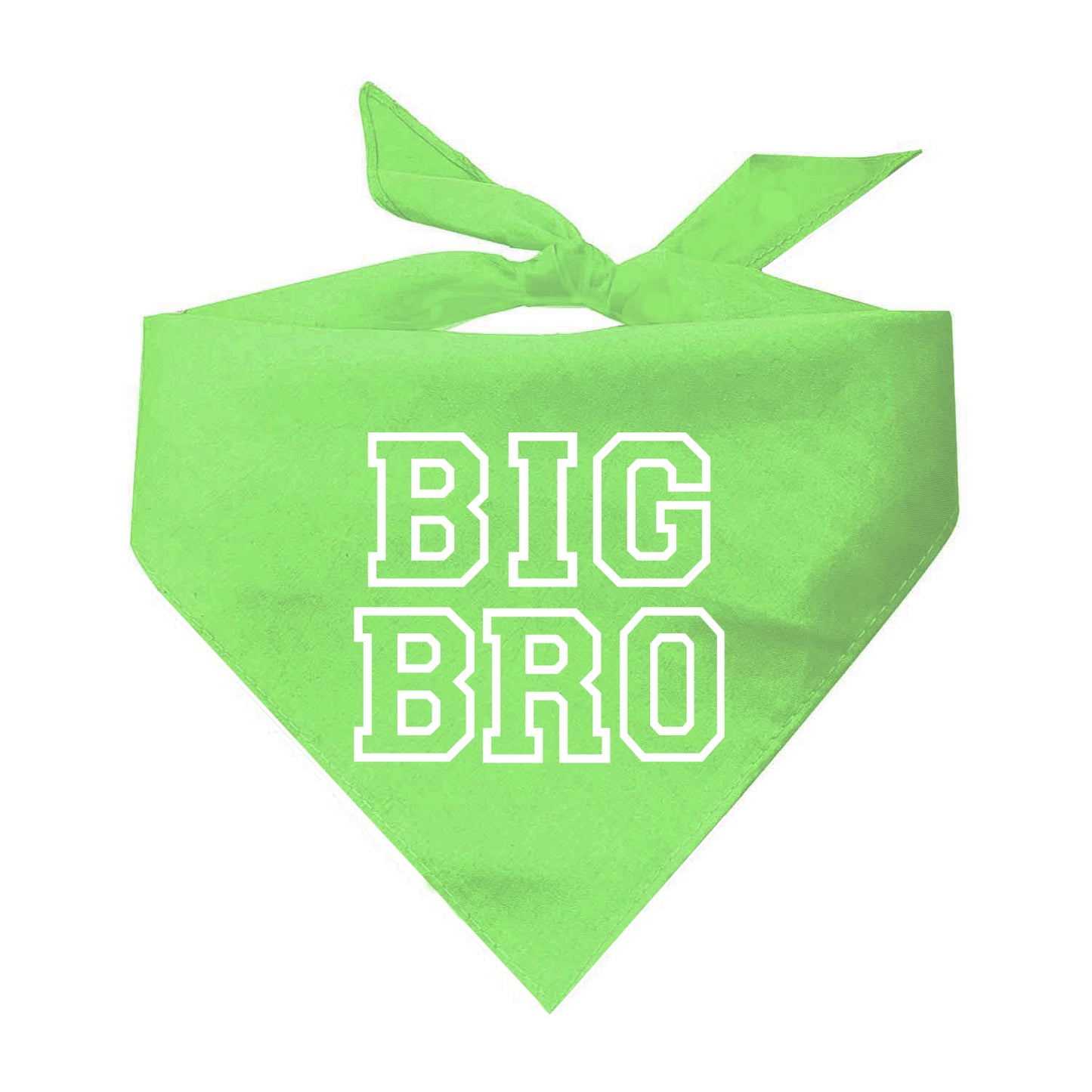 Big Bro Triangle Dog Bandana