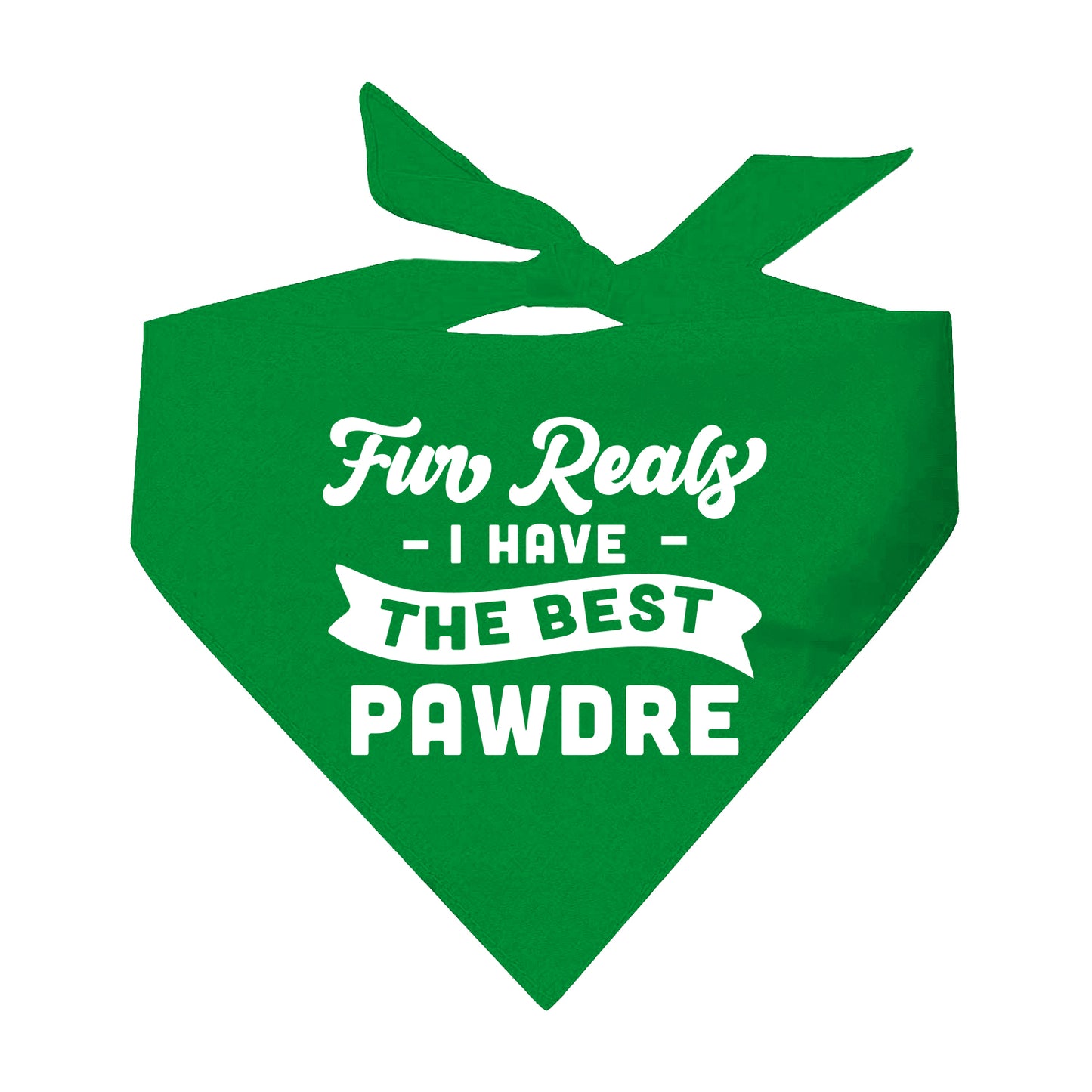 Fur Reals I Have The Best Pawdre Triangle Dog Bandana