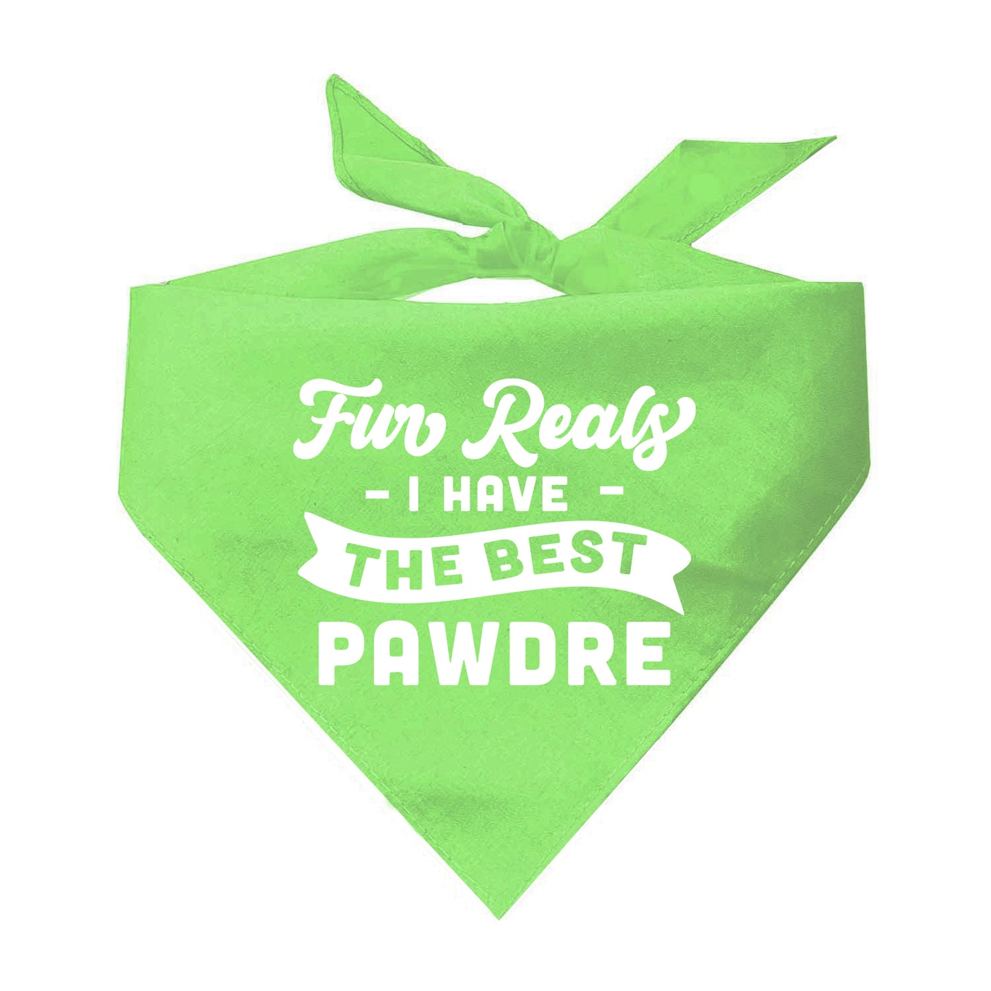 Fur Reals I Have The Best Pawdre Triangle Dog Bandana