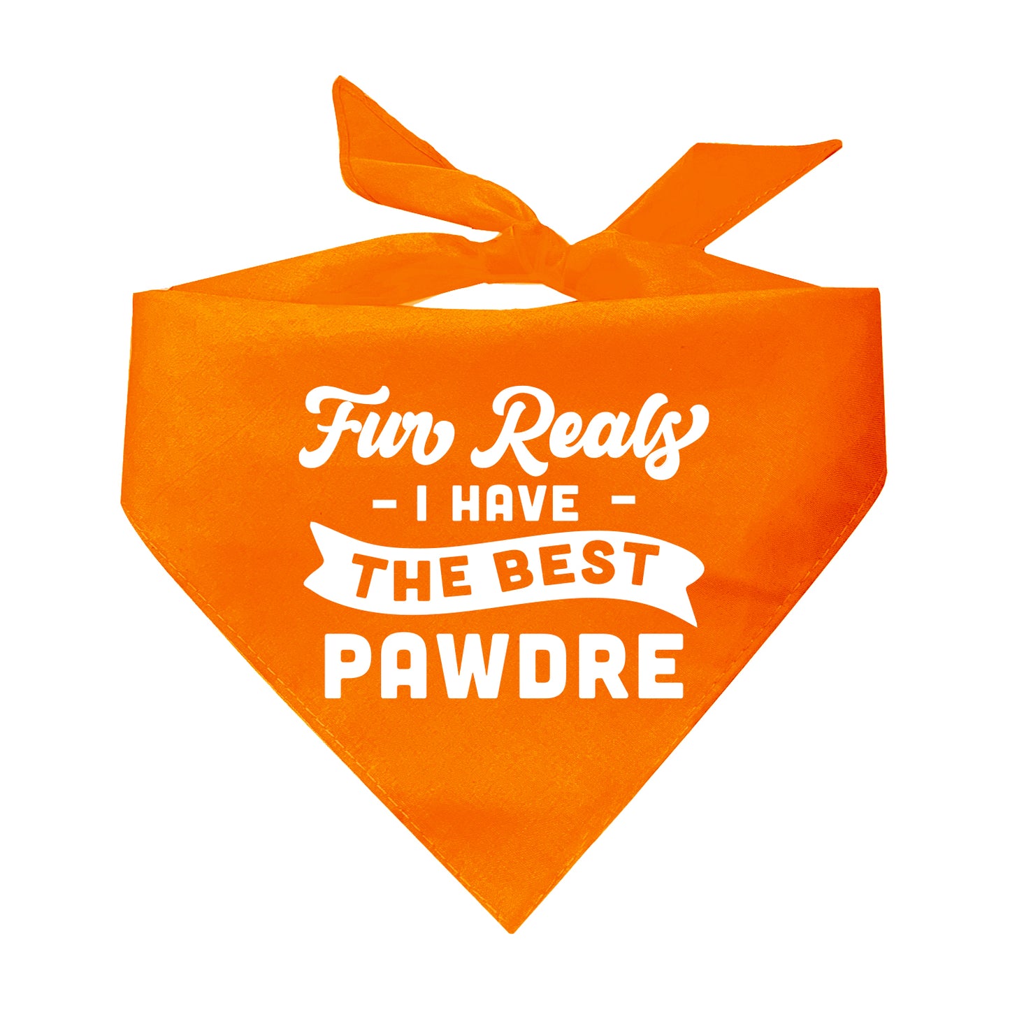 Fur Reals I Have The Best Pawdre Triangle Dog Bandana