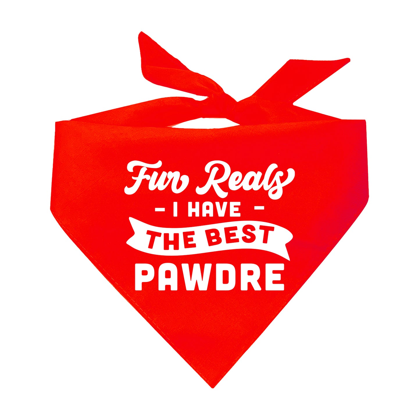 Fur Reals I Have The Best Pawdre Triangle Dog Bandana