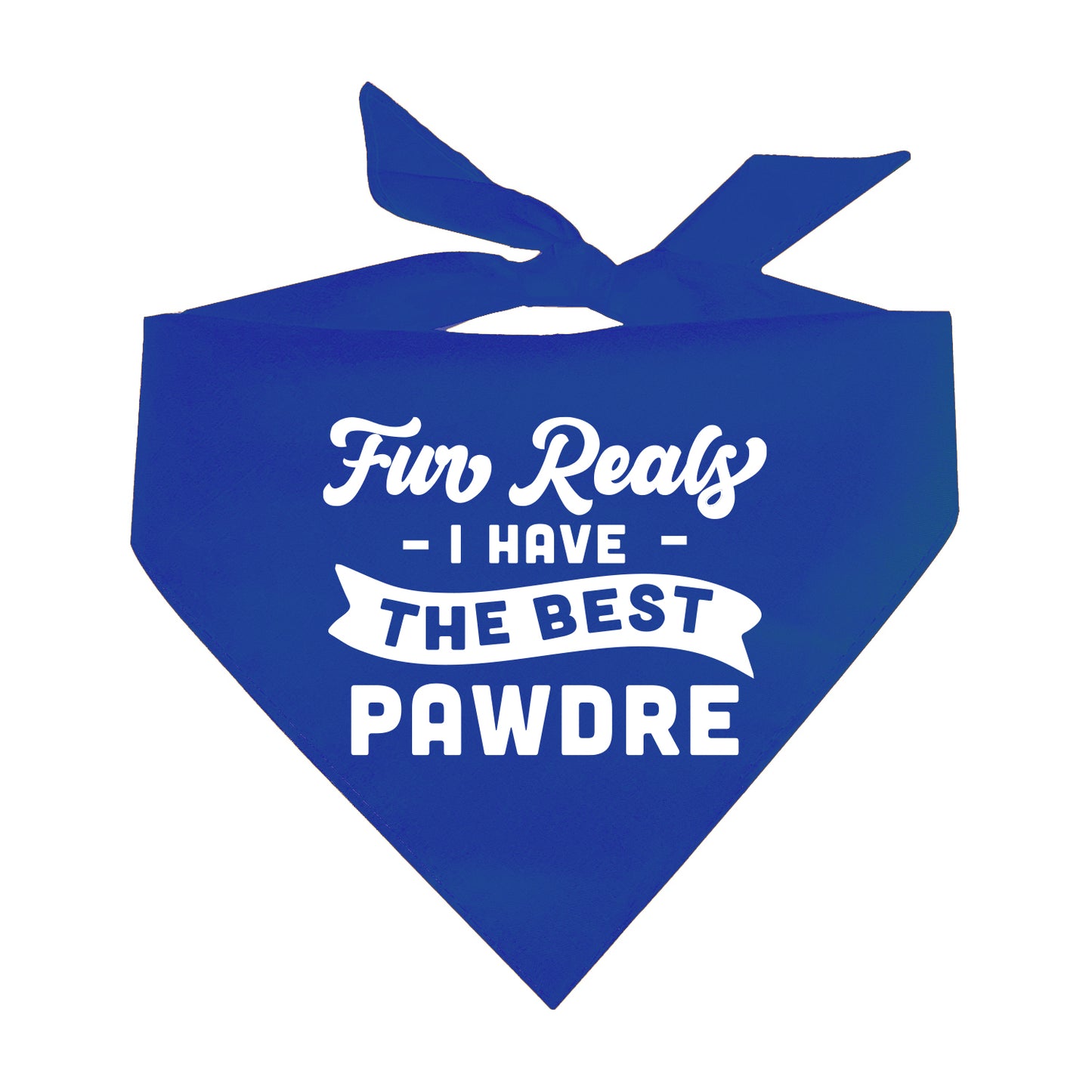 Fur Reals I Have The Best Pawdre Triangle Dog Bandana