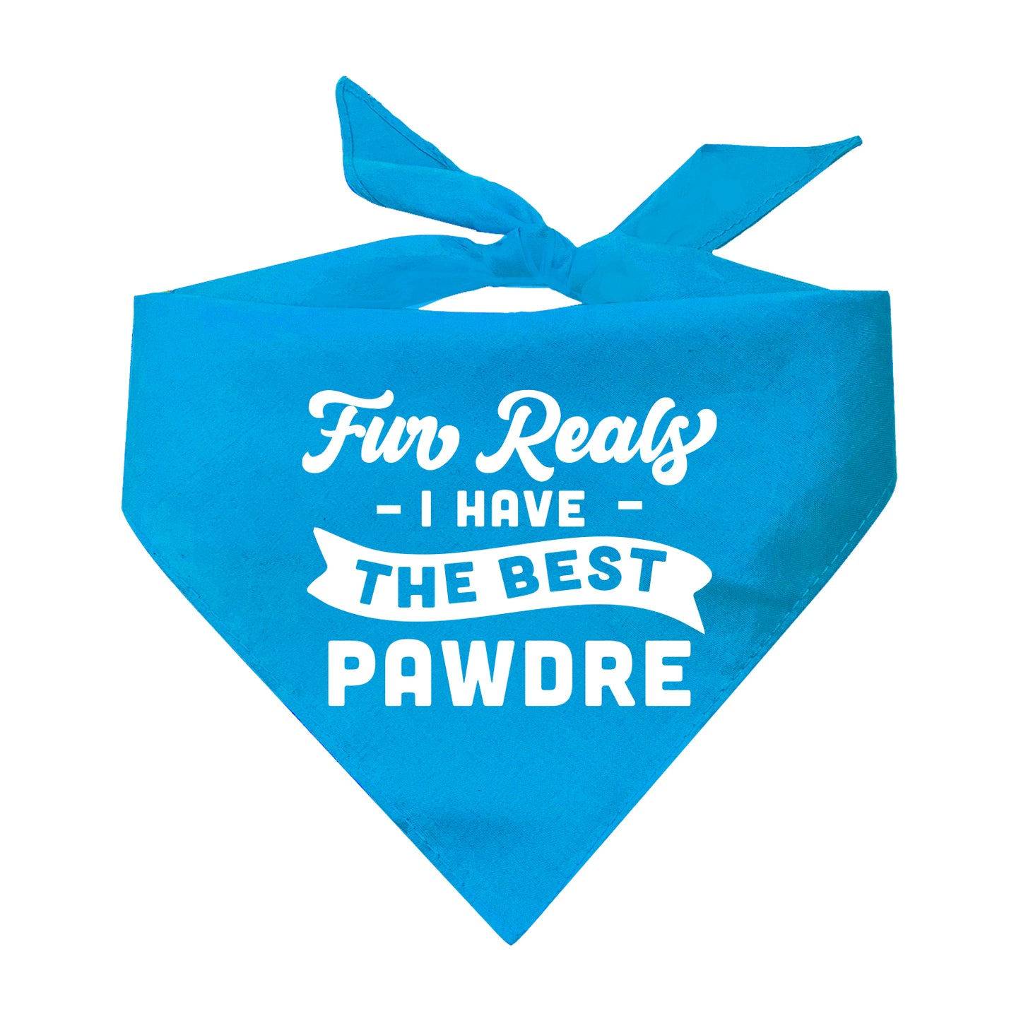 Fur Reals I Have The Best Pawdre Triangle Dog Bandana