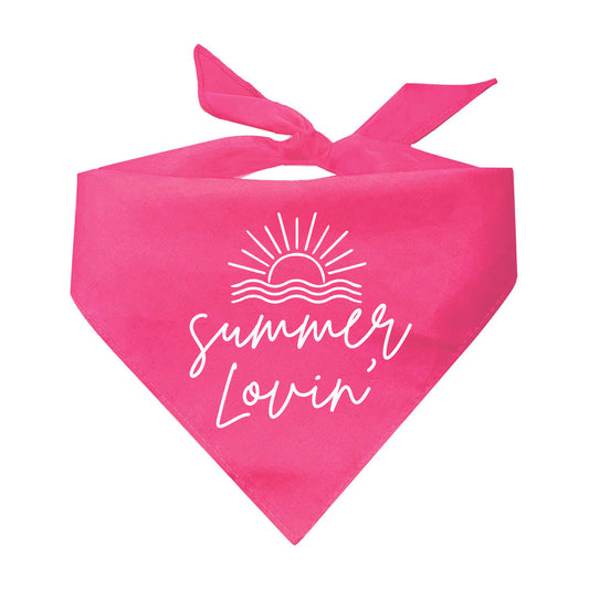 Summer Lovin' Triangle Dog Bandana