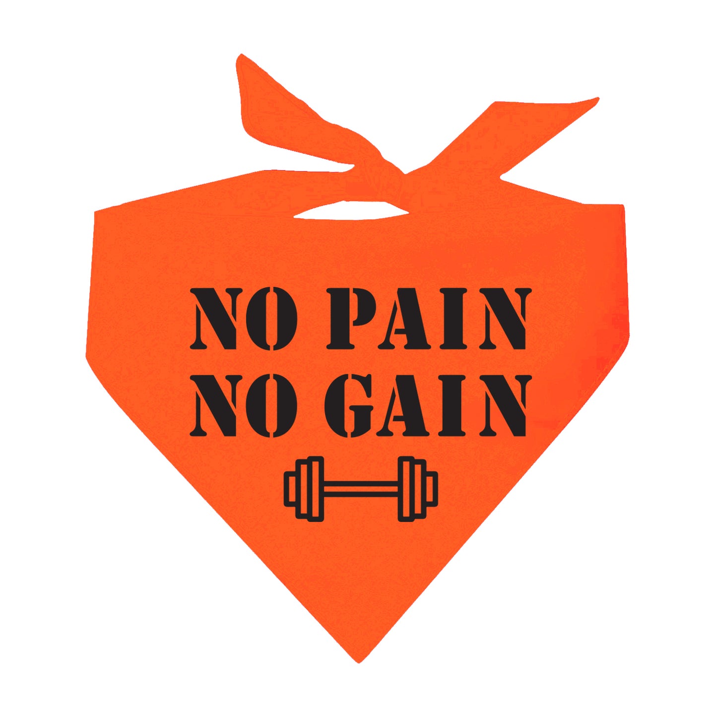 No Pain No Gain Neon Triangle Dog Bandana