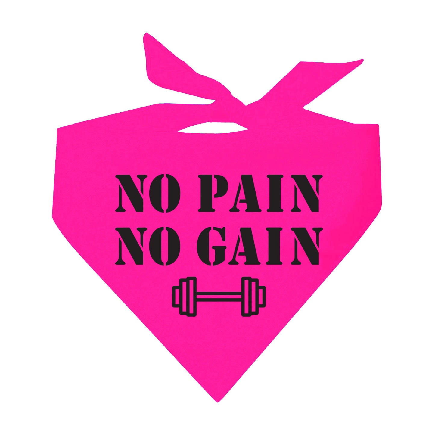 No Pain No Gain Neon Triangle Dog Bandana