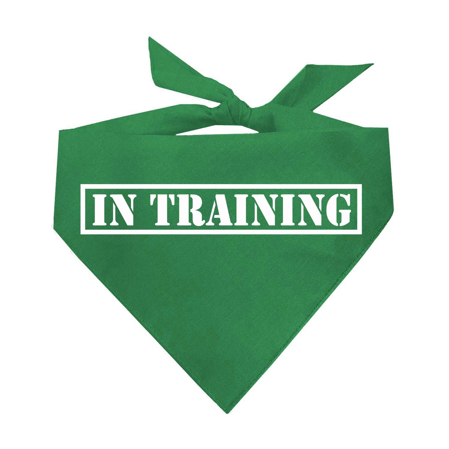 In Training Triangle Dog Bandana