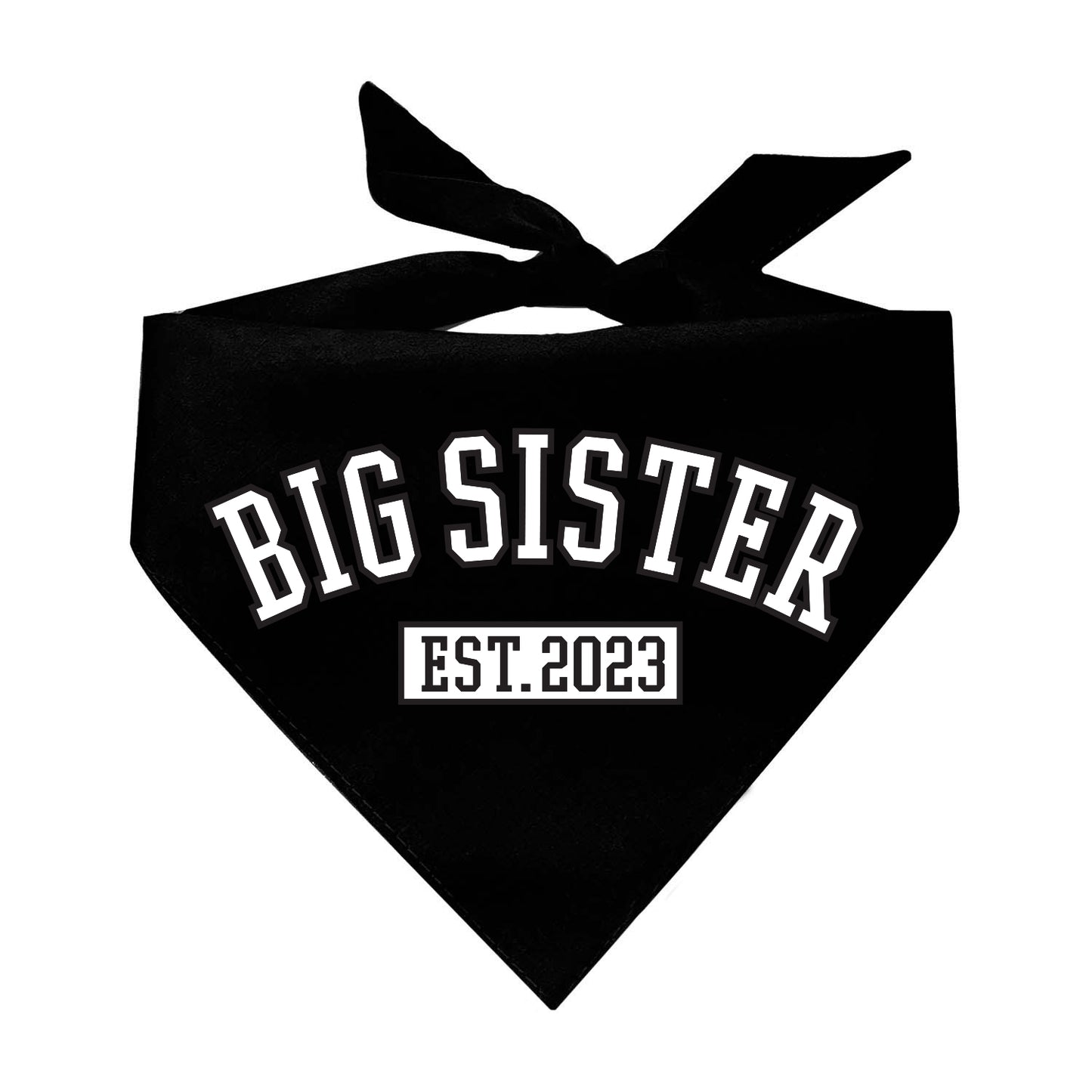 Big Sister Est. 2023 Established Gender Reveal Triangle Dog Bandana