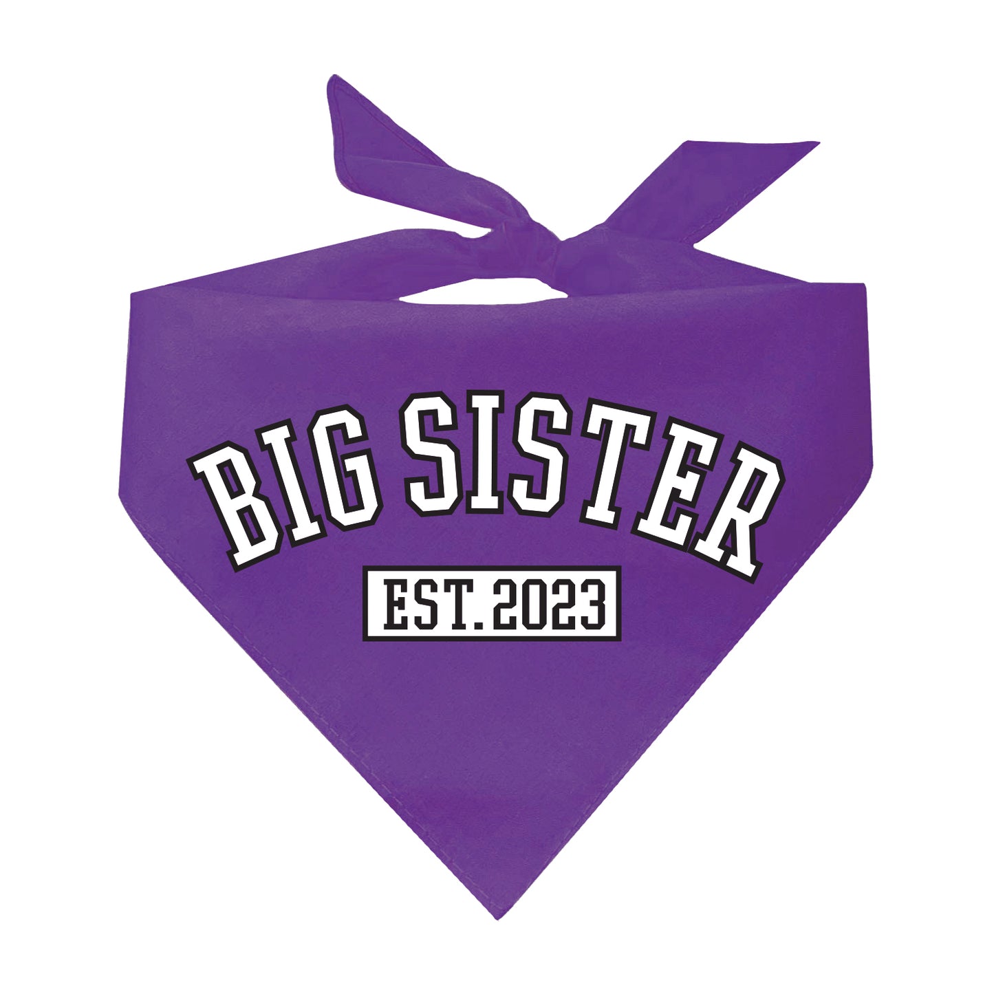 Big Sister Est. 2023 Established Gender Reveal Triangle Dog Bandana