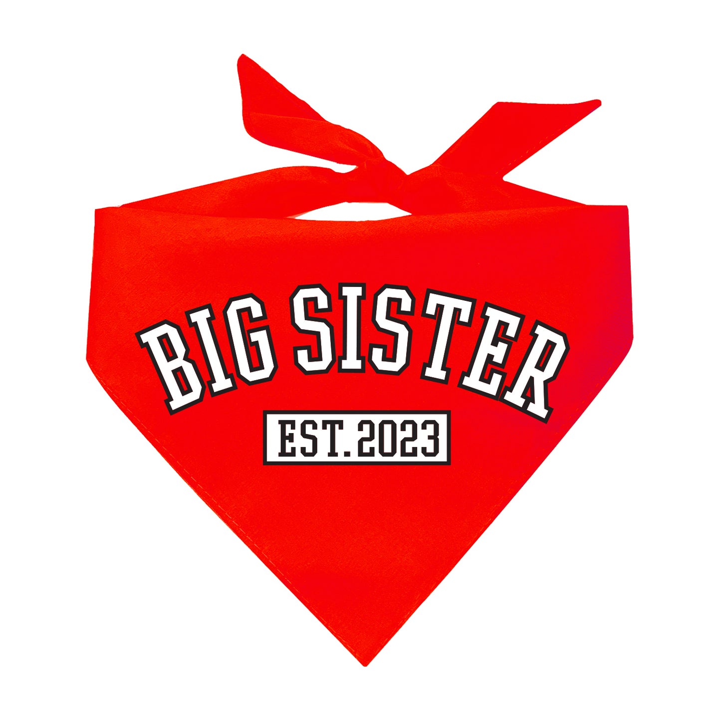 Big Sister Est. 2023 Established Gender Reveal Triangle Dog Bandana