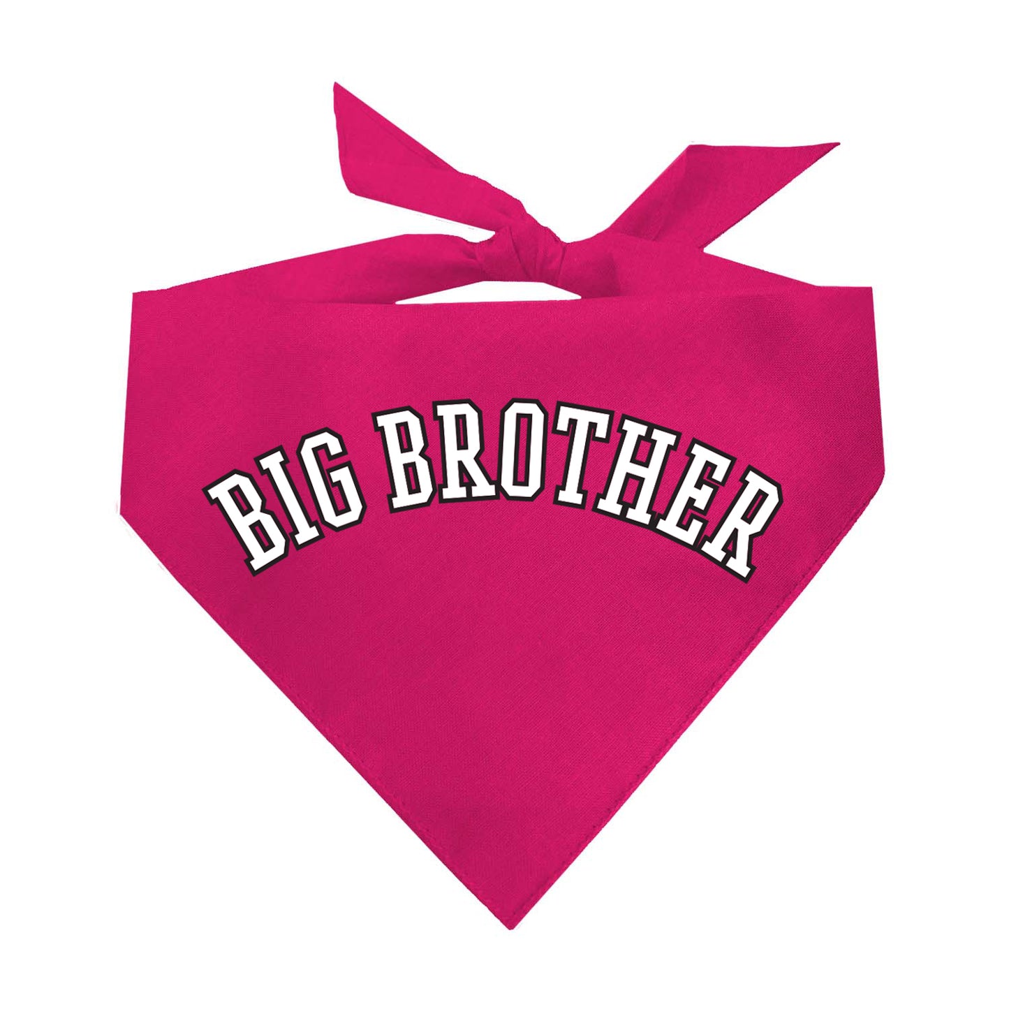 Big Brother (B&W) Triangle Dog Bandana