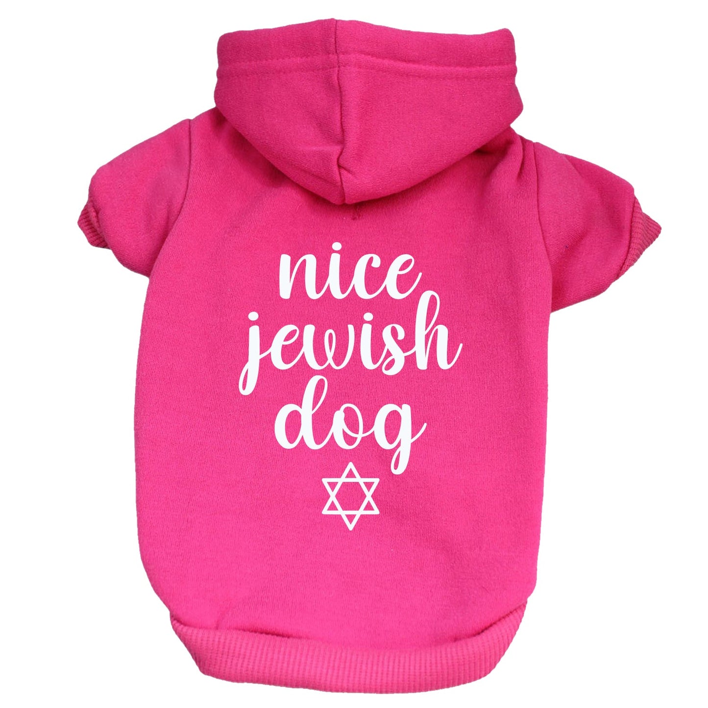 Nice Jewish Dog Dog Hoodie